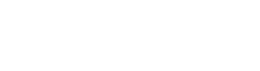 asp icon