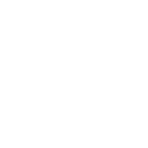 speed