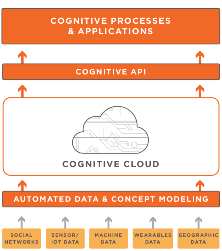 The Cognitive Insurance process and application