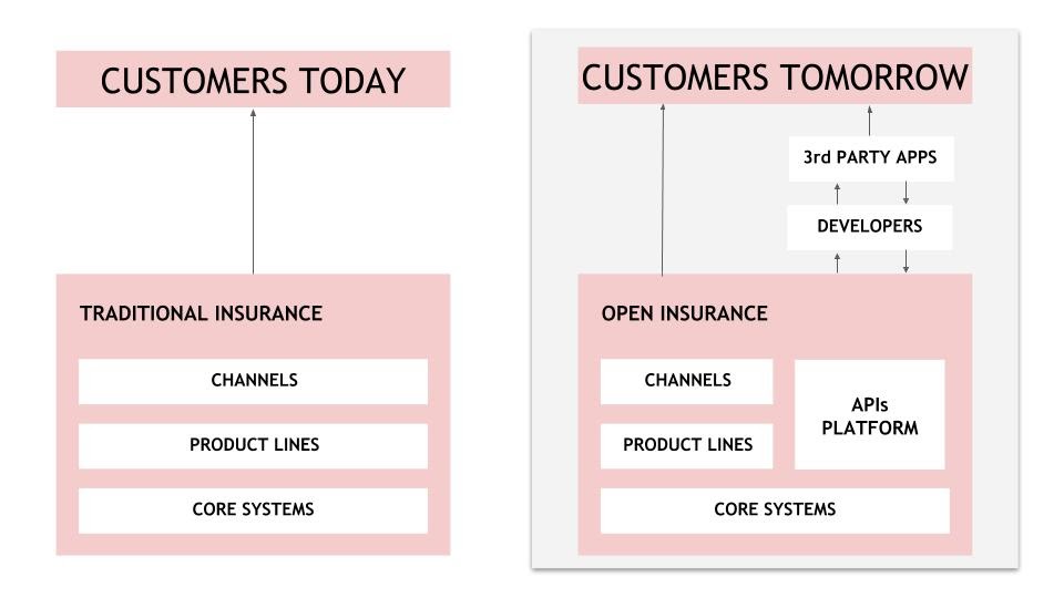 API-based Insurance Model Affinity Distribution Channel